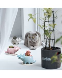 Succulent In Ceramic Dino 3"